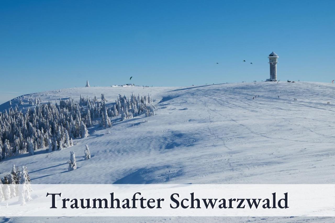 Swens Relax Pension - Inklusive Hochschwarzwaldkarte Und Halbpension Feldberg  Dış mekan fotoğraf